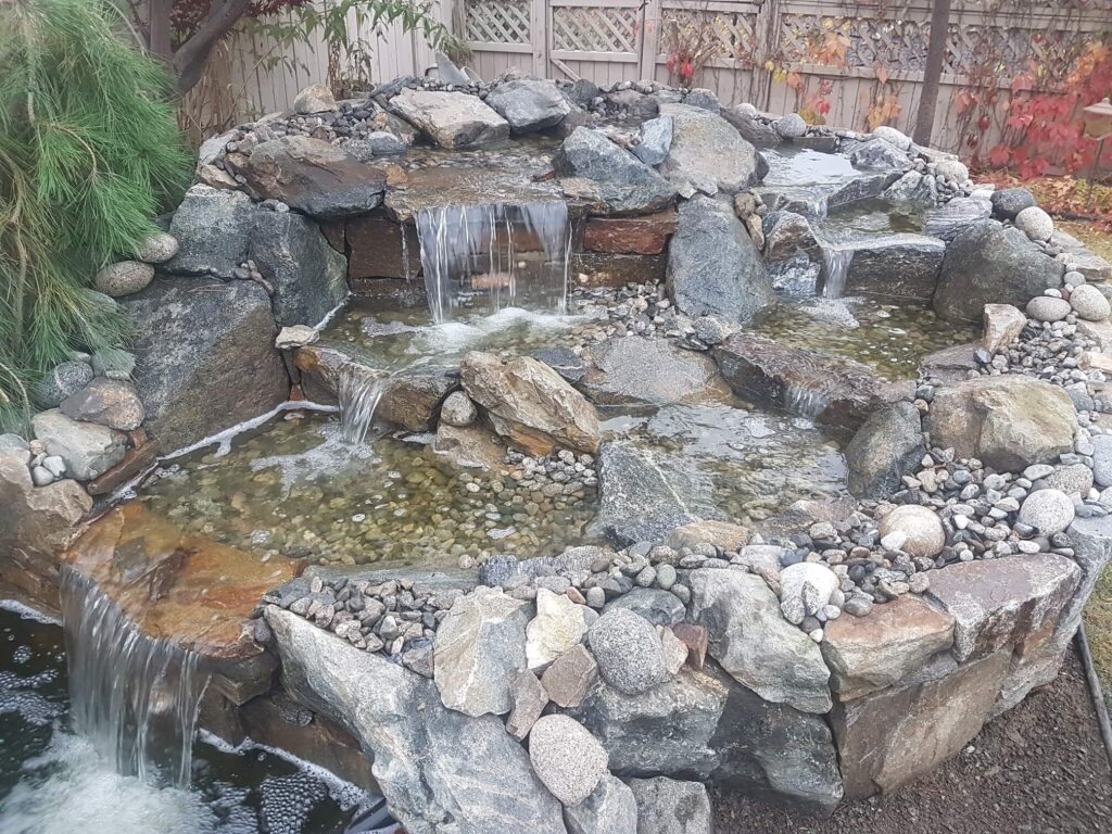 pond beautification makeover