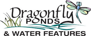 Dragonfly Ponds & Water Features